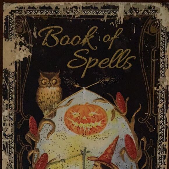 Book Box secret hiding spot hallowed out witch “book” goth decor - Picture 9 of 9